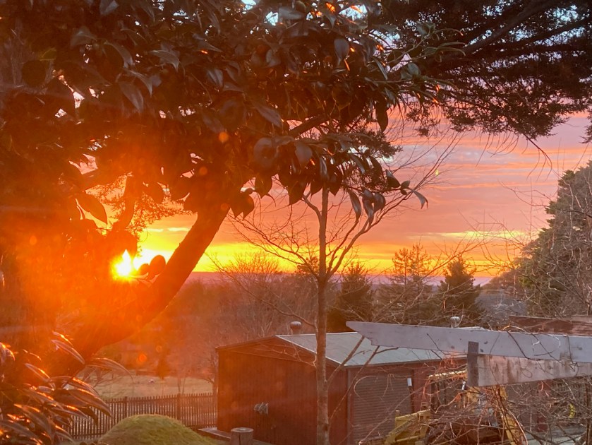 Sunrise at the Milepost Annex