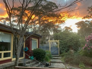 Sunset in late winter from our back garden