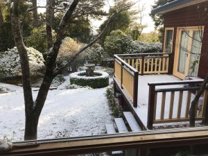 Snow in our back garden August 2019